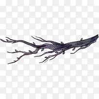 ʸ��ͼ��ɫ�Ŀ�֦-������