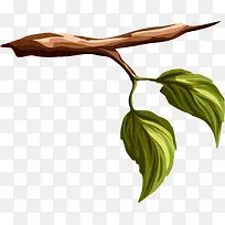 ����ɫ��ͨ��֦-������