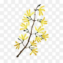 树枝-空若网 树枝-空若网