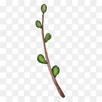 �ɰ�С����װ�κ���װ����֦-������