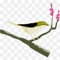 站在树枝上的麻雀-空若网 站在树枝上的麻雀-空若网