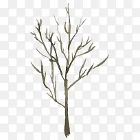 灰绿色的水彩枯树枝-空若网 灰绿色的水彩枯树枝-空若网