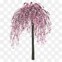 树木剪贴画-花木-空若网 树木剪贴画-花木-空若网