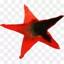 水彩画花水彩画地毯之星-水彩画之星-空若网 水彩画花水彩画地毯之星-水彩画之星-空若网