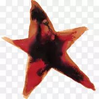 水彩画花水彩画明星-空若网 水彩画花水彩画明星-空若网