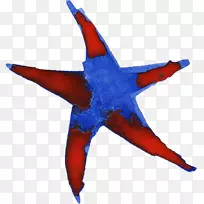 Ë®²Ê»»¨Ë®²Ê»Ã÷ÐÇ-¿ÕÈôÍø Ë®²Ê»»¨Ë®²Ê»Ã÷ÐÇ-¿ÕÈôÍø