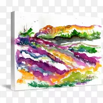 ����ˮ�ʻ��е��ִ�ˮ�ʣ�ˮ�ʻ�������һ����Ȥ�ĵ���̽��-޹�²�ˮ��-������