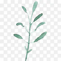 手绘水彩树叶-空若网 手绘水彩树叶-空若网