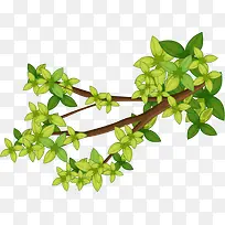 绿色树枝装饰图案-空若网 绿色树枝装饰图案-空若网