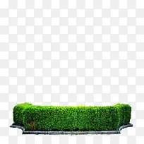 ²Ý´ÔËØ²Ä-¿ÕÈôÍø ²Ý´ÔËØ²Ä-¿ÕÈôÍø