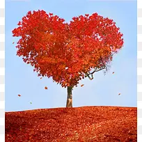 爱心树木-空若网 爱心树木-空若网