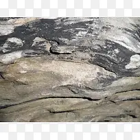 树皮背景纹理-空若网 树皮背景纹理-空若网