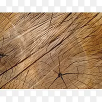 ľ����������-������