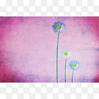 �����ʻ�����-������