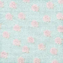 玫瑰花图案纸张背景-空若网 玫瑰花图案纸张背景-空若网