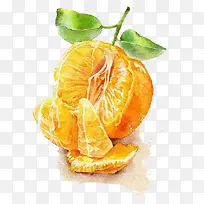 水彩橘子-空若网 水彩橘子-空若网