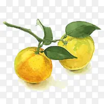 水彩橘子-空若网 水彩橘子-空若网