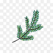 ��Ҷ������Ҷ��ͨʸ���ز�-������