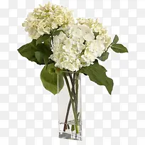 ��ɫ����װ�β�����ƿ��װ����-������