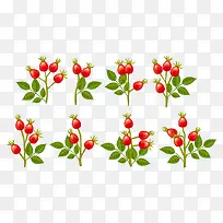 矢量图无花果图-空若网 矢量图无花果图-空若网