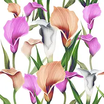 ÂíÌãÁ«»¨¶ä±³¾°-¿ÕÈôÍø ÂíÌãÁ«»¨¶ä±³¾°-¿ÕÈôÍø