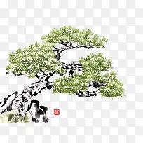 ʸÁ¿ËÉÊ÷-¿ÕÈôÍø ʸÁ¿ËÉÊ÷-¿ÕÈôÍø