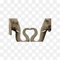 大象的鼻子-空若网 大象的鼻子-空若网