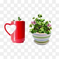 创意盆栽-空若网 创意盆栽-空若网