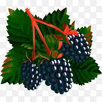 卡通水果-空若网 卡通水果-空若网