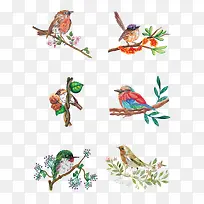 花鸟图案免抠下载-空若网 花鸟图案免抠下载-空若网