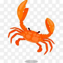 海洋生物橙色螃蟹-空若网 海洋生物橙色螃蟹-空若网