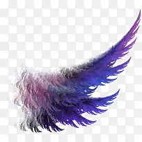 ��ɫ��ëװ��-������