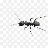 ¶¾ÂìÒÏ-¿ÕÈôÍø ¶¾ÂìÒÏ-¿ÕÈôÍø