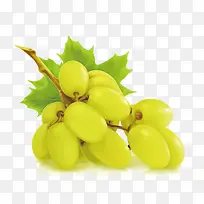 矢量绿葡萄-空若网 矢量绿葡萄-空若网