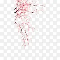 满树梅花-空若网 满树梅花-空若网