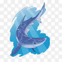 矢量鲨鱼-空若网 矢量鲨鱼-空若网