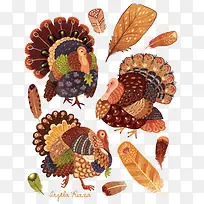 矢量火鸡-空若网 矢量火鸡-空若网