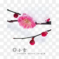 ÷»¨ËزÄ-¿ÕÈôÍø ÷»¨ËزÄ-¿ÕÈôÍø