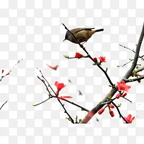 ���ﻨ��-������