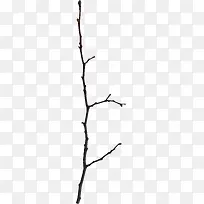 ��֦����װ��-������