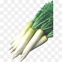 白萝卜图片-空若网 白萝卜图片-空若网