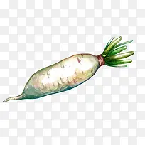 ˮ���ֻ��߲˰��ܲ�-������