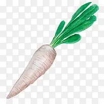 手绘萝卜-空若网 手绘萝卜-空若网