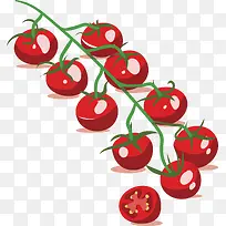 红色小番茄-空若网 红色小番茄-空若网