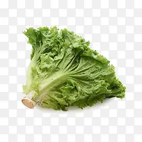 奶油生菜-空若网 奶油生菜-空若网