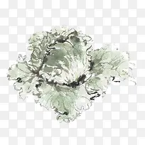 手绘生菜-空若网 手绘生菜-空若网