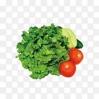 ���˷���ͼƬ�ز�-������