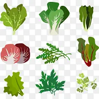 �����߲˼���-������