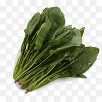 Ê߲˲¤²Ë-¿ÕÈôÍø Ê߲˲¤²Ë-¿ÕÈôÍø