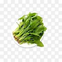 俯视一盘菠菜-空若网 俯视一盘菠菜-空若网